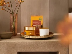Body Cream and Refill Pack