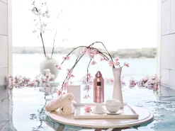 Body Lotion Mousse