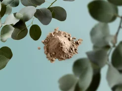 Body Mud