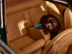 Car Air Freshener