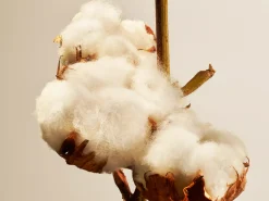Cotton Blossom Fragrance Sticks