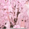 Dry Body Oil