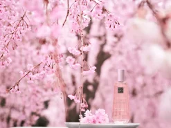 Dry Body Oil