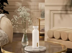 Fragrance Sticks