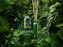 Fragrance Sticks