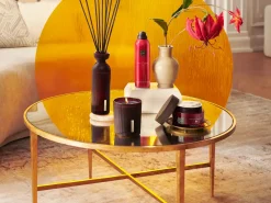 Fragrance Sticks