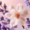 Gratitude Refillable Fragrance Sticks Set
