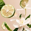 Positivity Refillable Fragrance Sticks Set