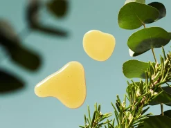 Refill Fragrance Sticks
