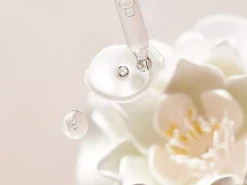 Refill Hydrating Day Cream