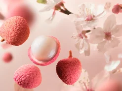 Rêve de Hanami