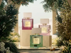 Rêve de Hanami