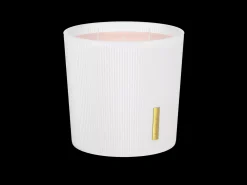 Scented Candle