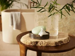 Shampoo & Body Bar