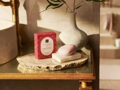 Shampoo & Body Bar