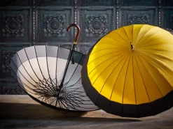 24-spoke Umbrella