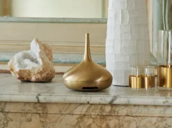 The Perfume Genie