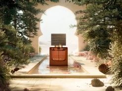 Travel - Maharaja d’Or