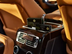 Wild Fig Car Air Freshener Refill