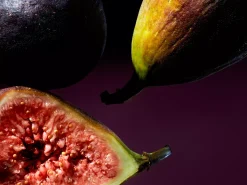Wild Fig Refill Fragrance Sticks
